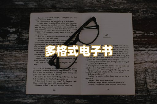 多格式电子书